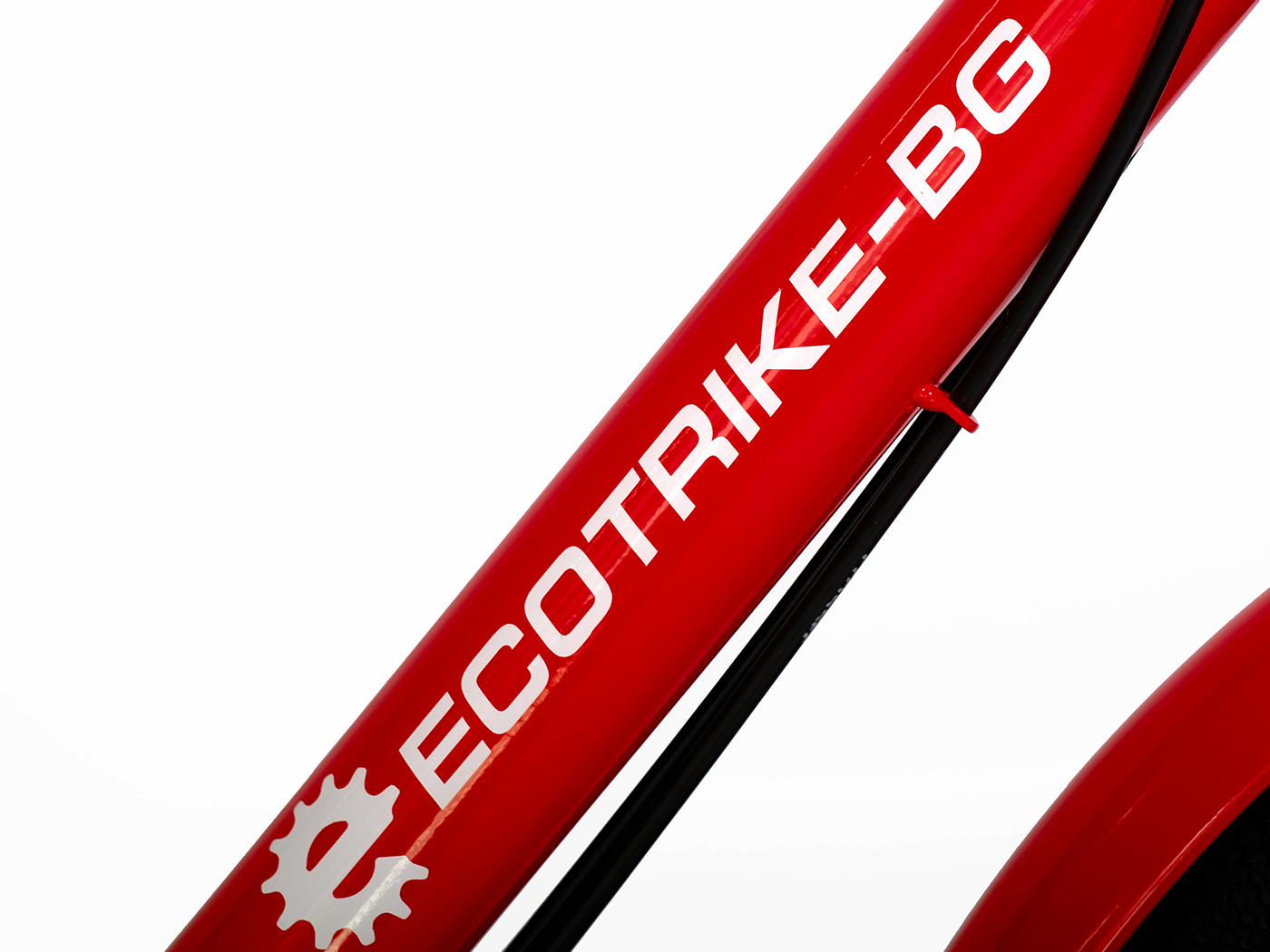 7_EcoTrike City D-20